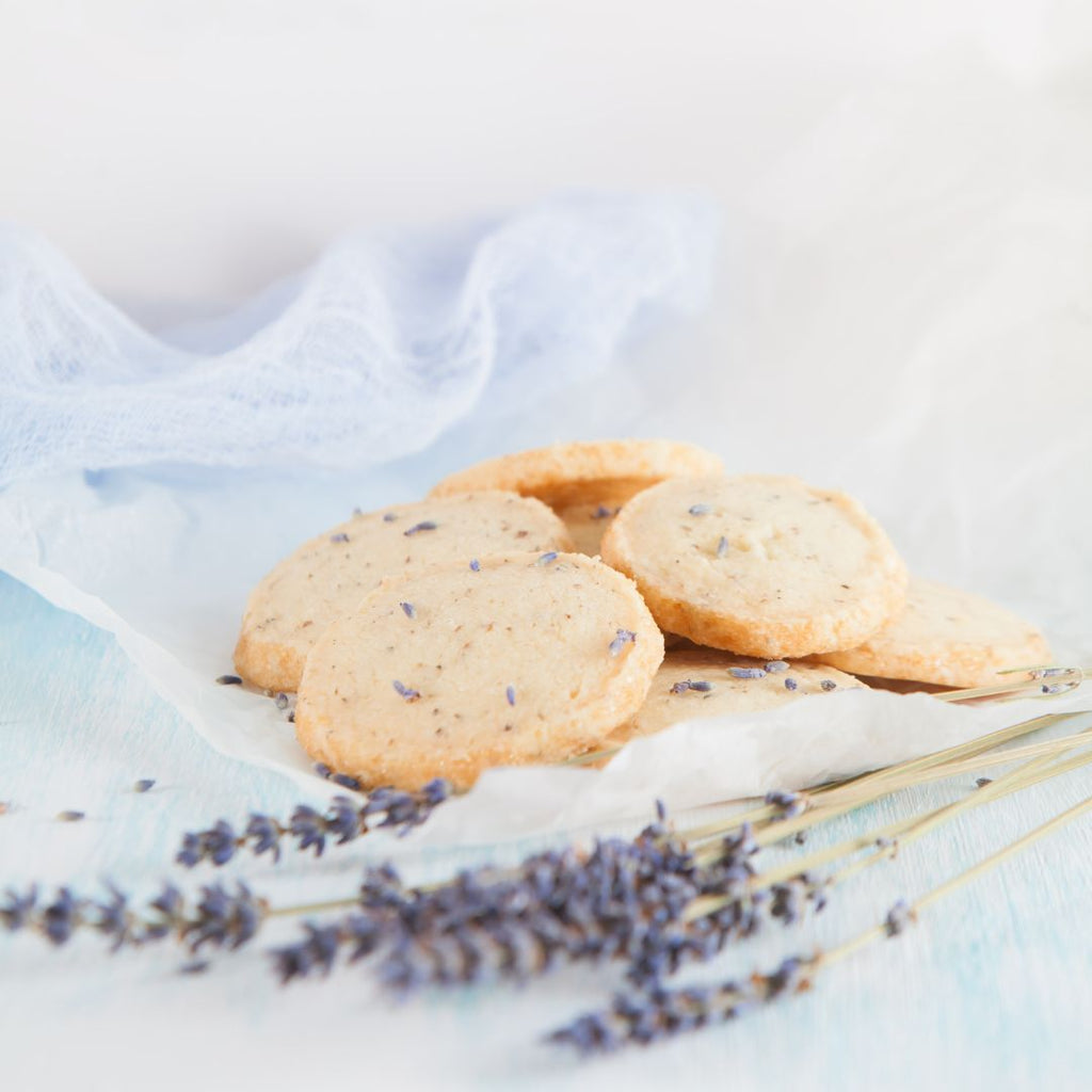 Lavender Holiday Cookies Soy Candle