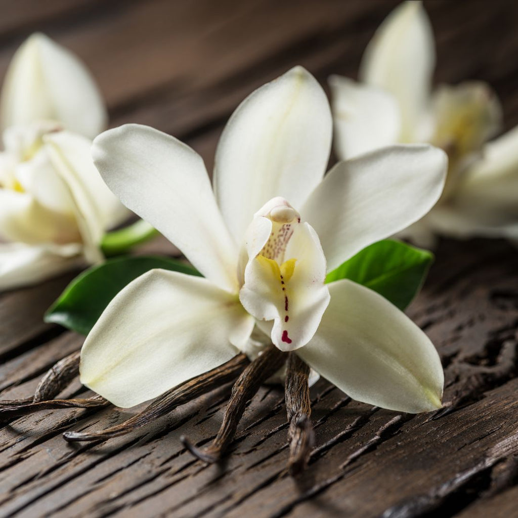 Vanilla Soy Candle
