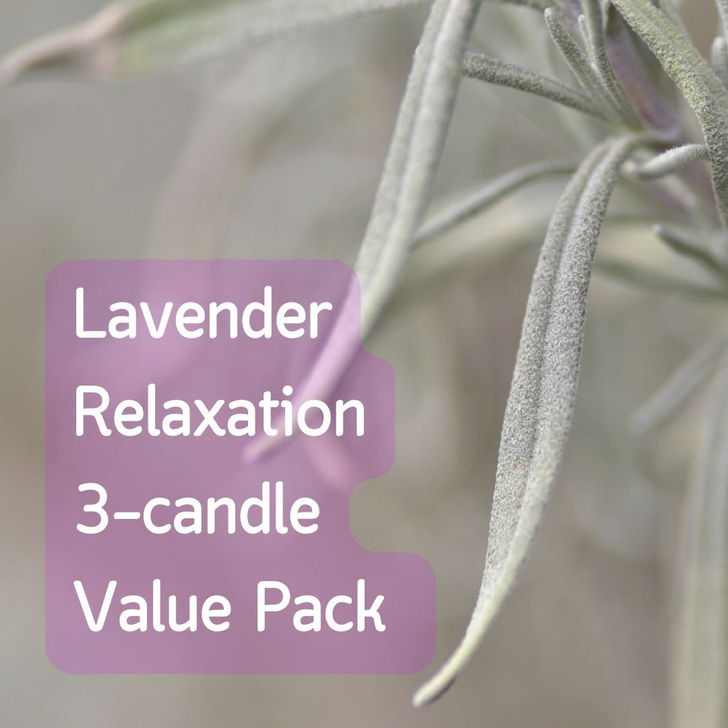 Lavender Relaxation Soy Candle Value Pack